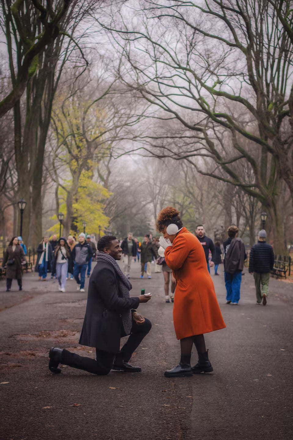 Videos & Photos Central Park