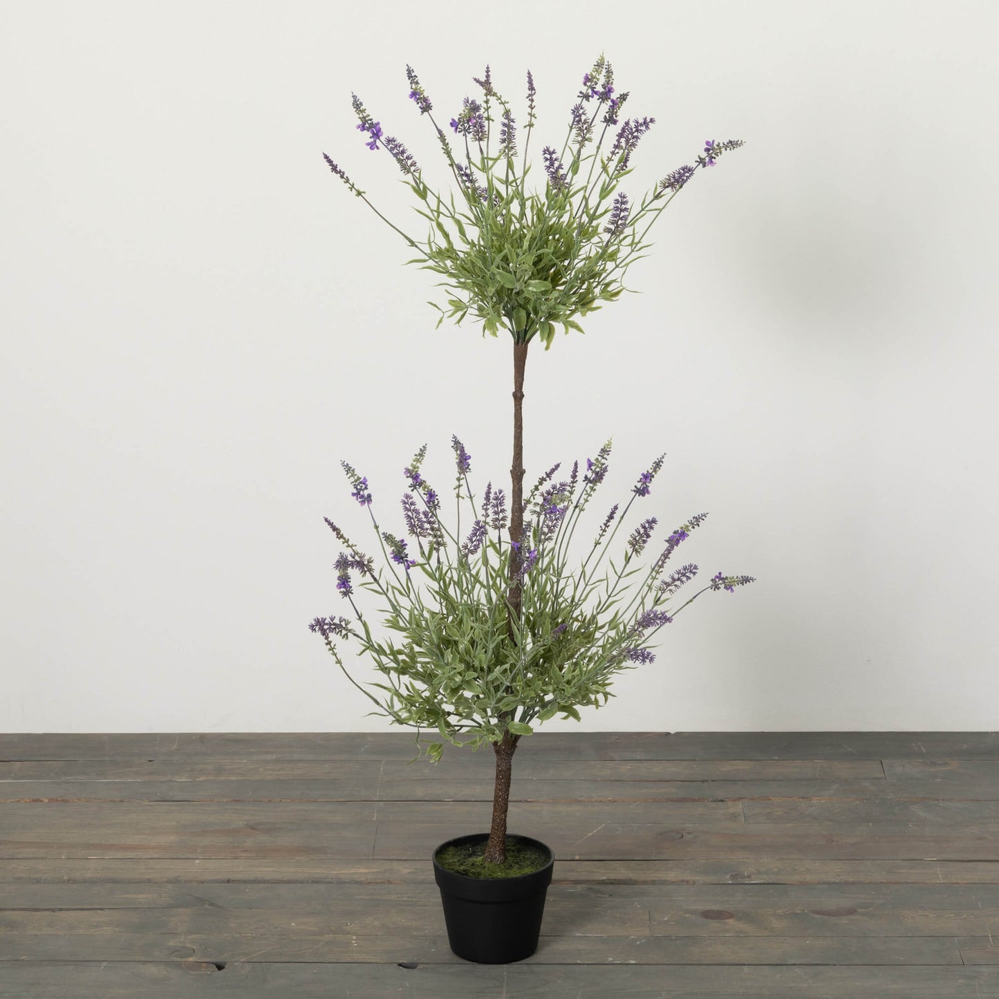 Double Lavender Topiary Bush