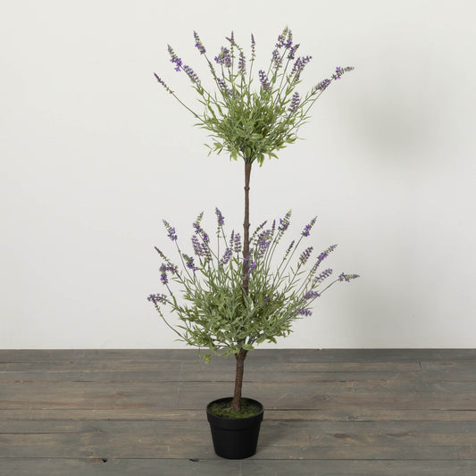 Double Lavender Topiary Bush