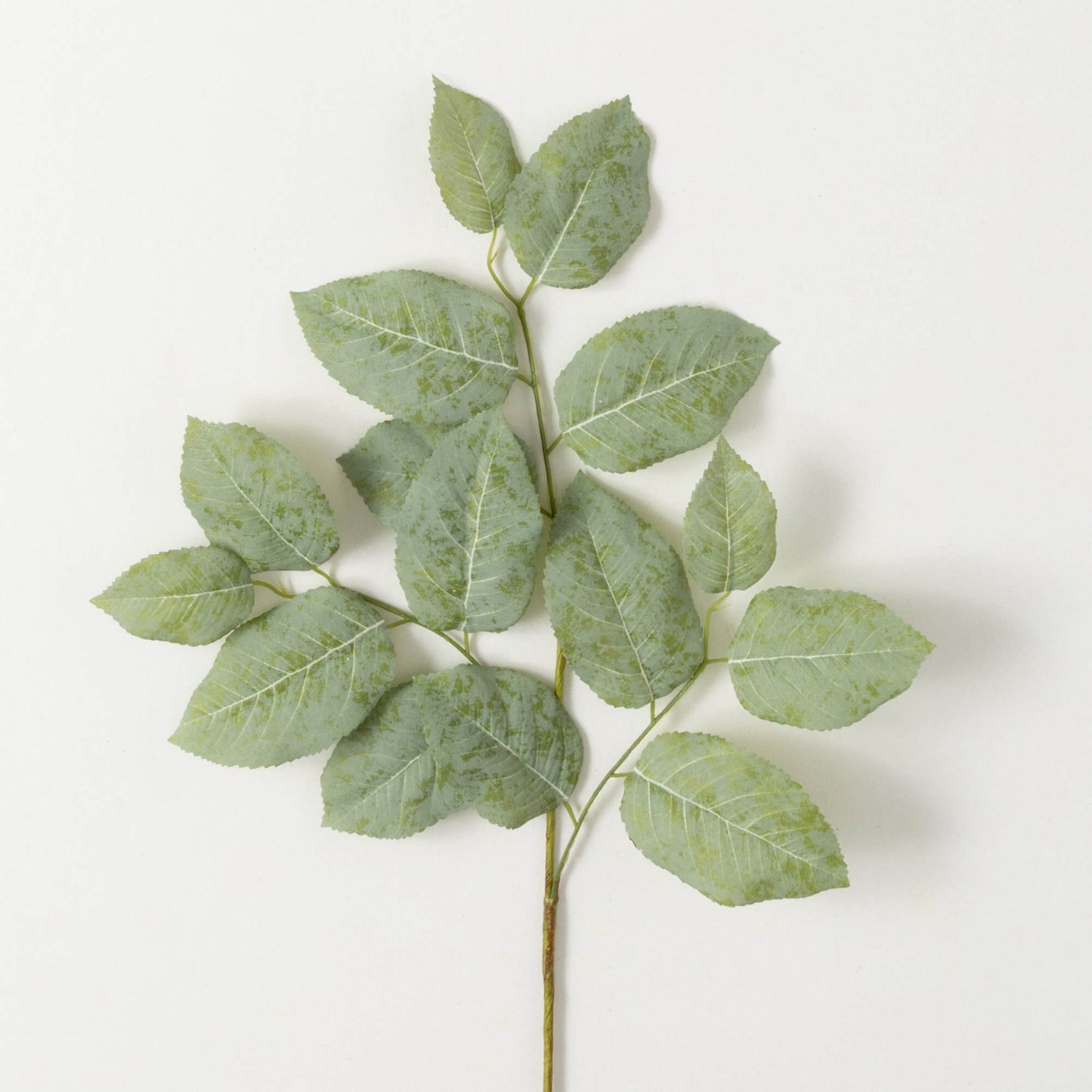 Long Lemon Leaf Spray