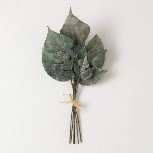 Large Grey Green Leaf Bush