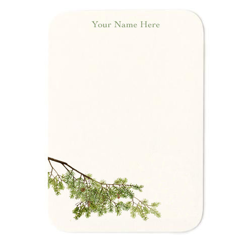 Evergreen Bough Small Note Cards