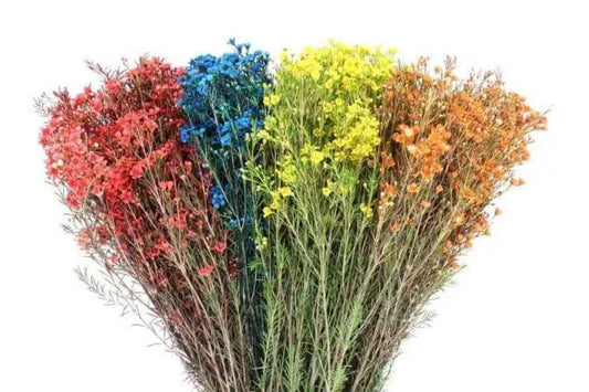 Wax Flower Fall Colors 14 Bunch