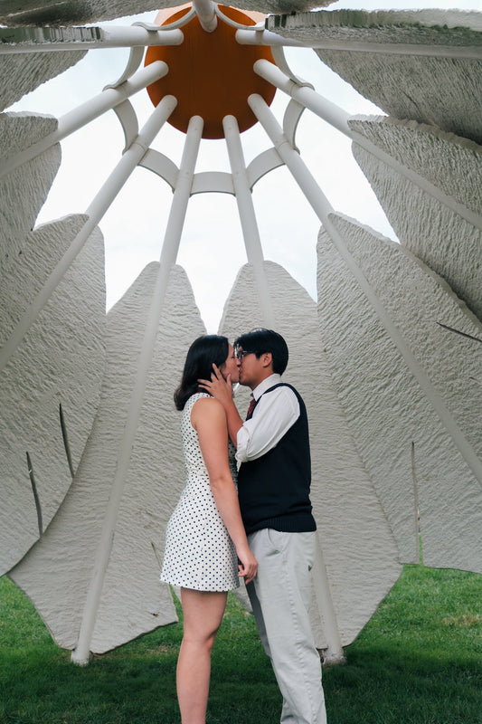 Delight Package Videography Offer