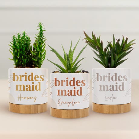 Personalized White Ceramic Indoor Plant Pot with Drainage & Saucer - Desert Floral Bridesmaid