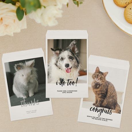 Custom Photo Printed Flat Style Paper Goodie Bag - Man's Best Friend