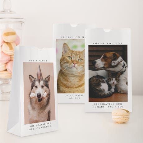 Custom Photo Printed Self-Standing Paper Goodie Bag - Signature Pet
