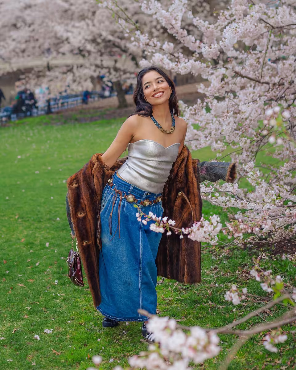 Videos & Photos Central Park