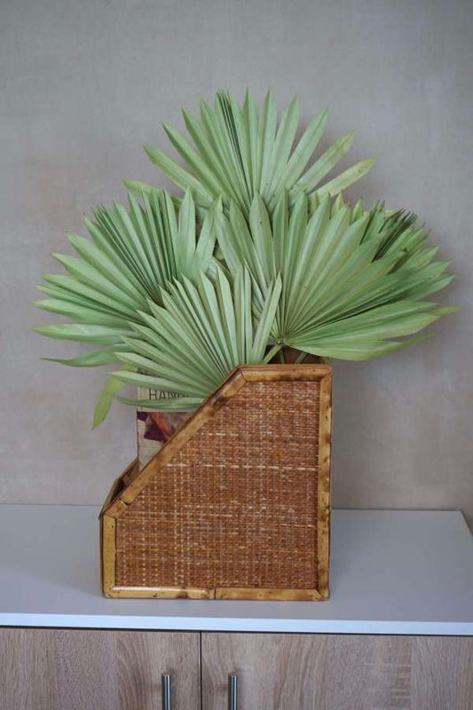 Dried Sun Palm Leaf Fans