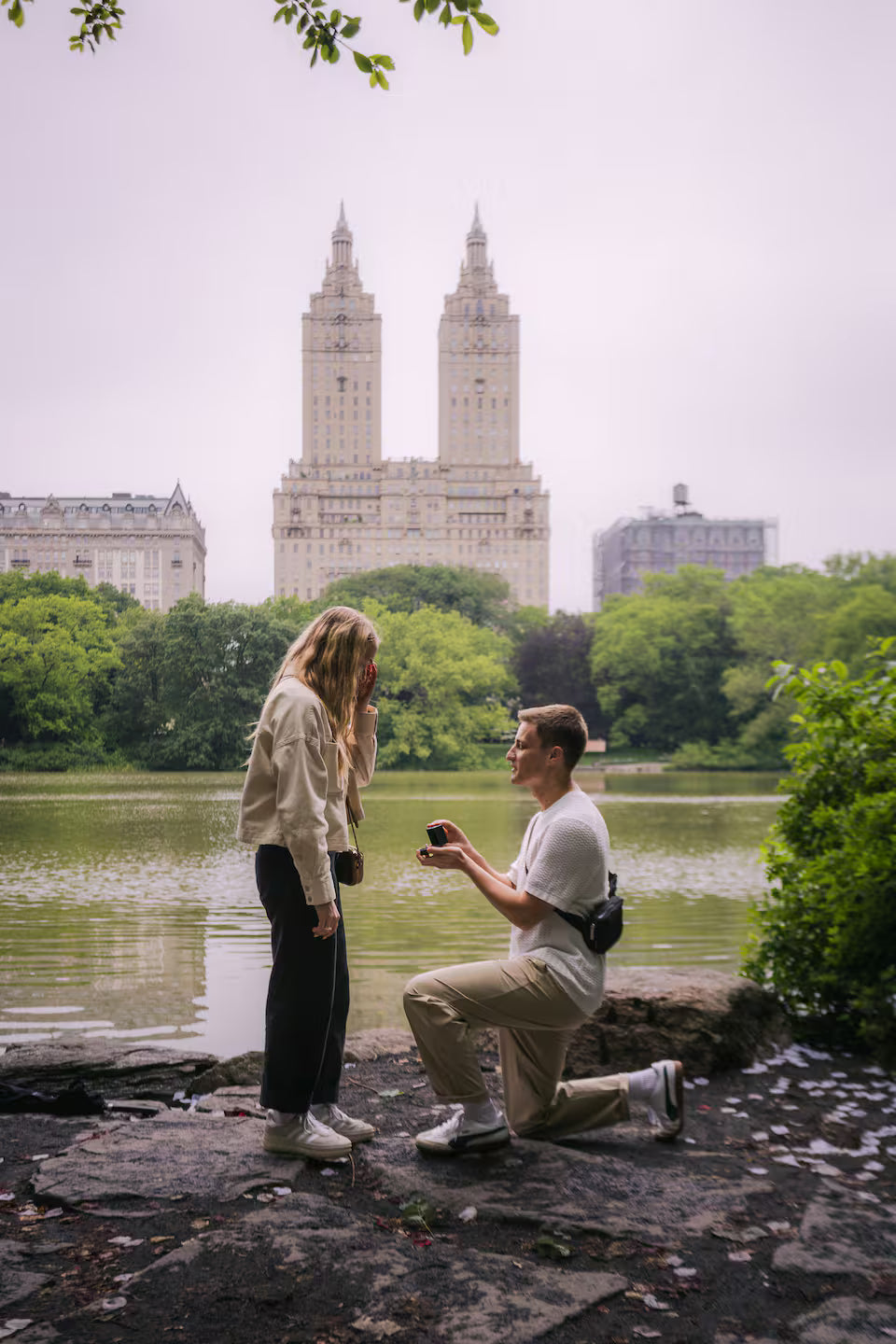 Videos & Photos Central Park