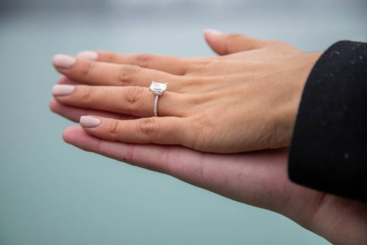 Chicago Engagement Photo Shoot