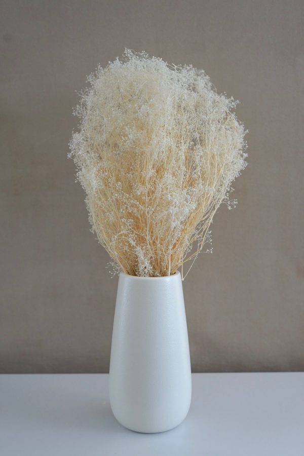 Dried Baby's Breath
