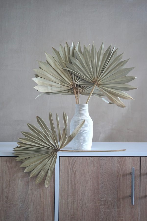 Dried Sun Palm Leaf Fans