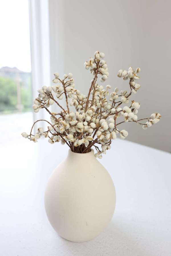 Dried Tallow Berries