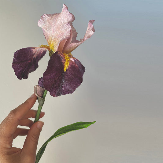 Bearded Iris Paper Flowers