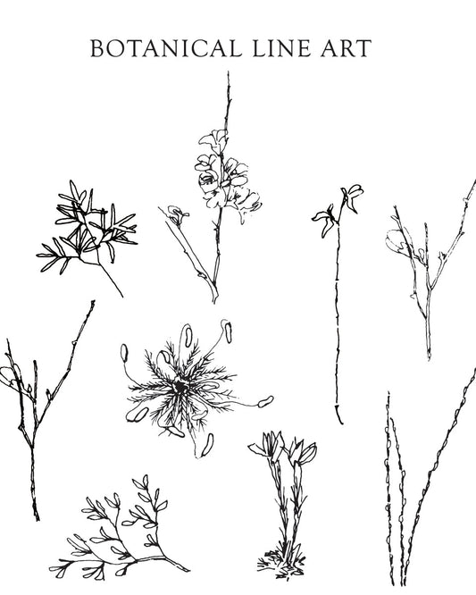 Botanical Line Art {Full Set} Digital Download