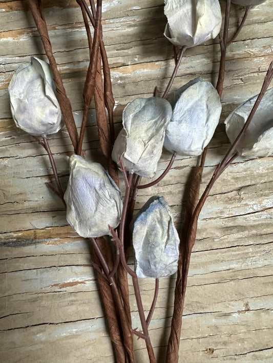 Chinese Lantern Spray