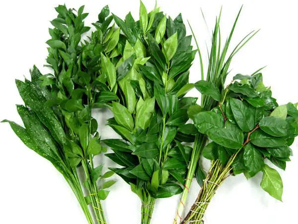 Design Fun Mix Greenery