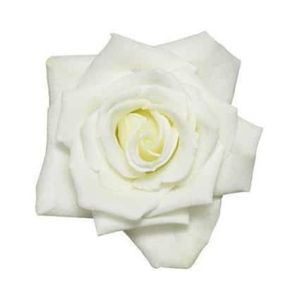 Escimo White Roses