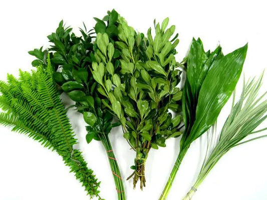 Florida Fun Mix Greenery