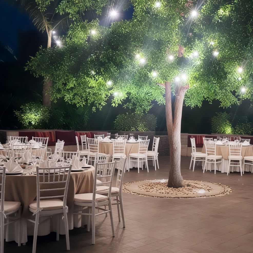 Marival Armony Destination Wedding Package