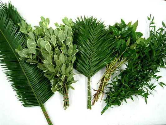 Greenery Fun and Sun Mix