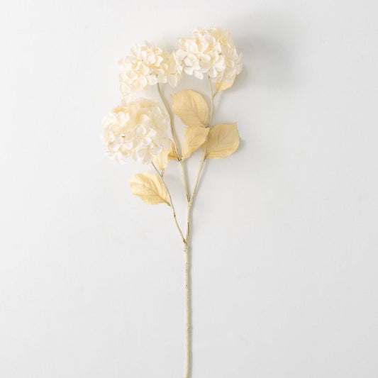 Hydrangea Stem