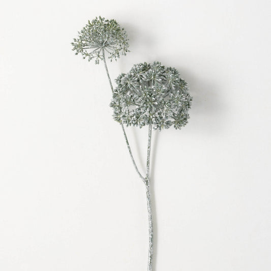 Dark Green Eucalyptus Seed