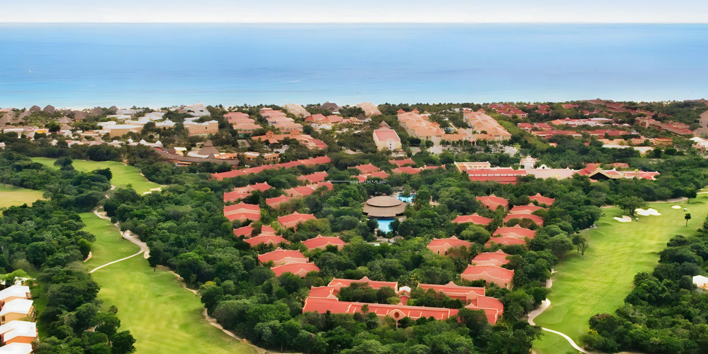 Hotel Riu Tequila Destination Wedding Package