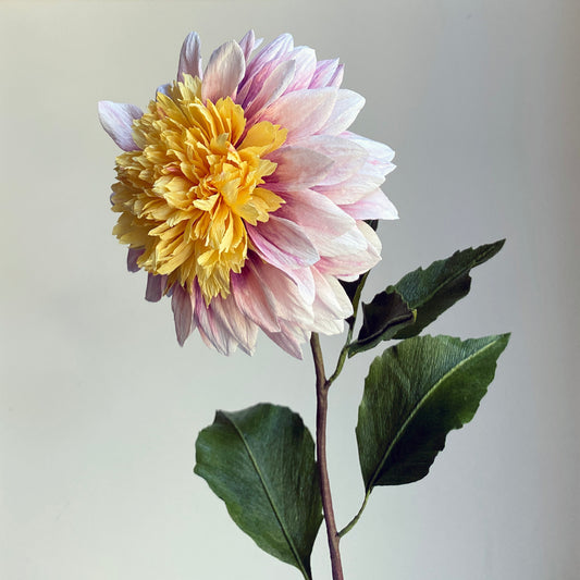 Dahlia Polka Paper Flowers