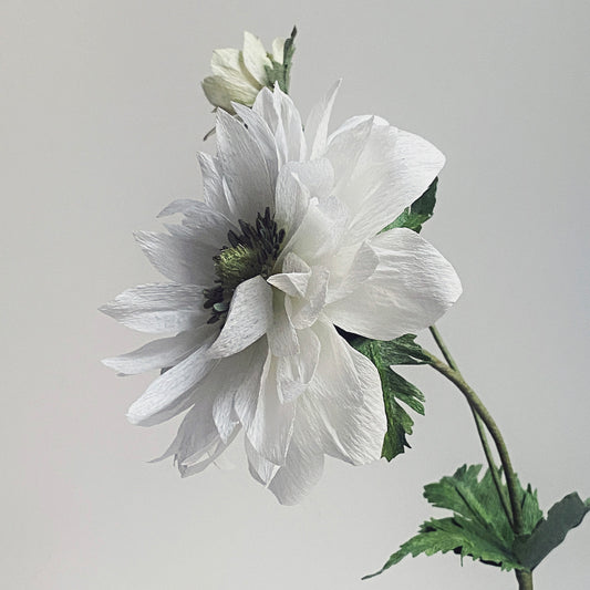 Anemone Giant Mount Everest Paper Flowers