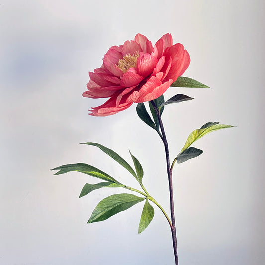 Peony Julia Rose Paper Flowers