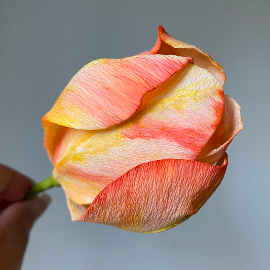 Beauty of Spring Tulip Paper Flowers