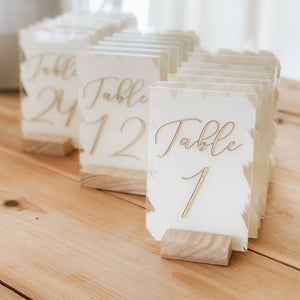 Modern Calligraphy Painted Back Table Numbers - TN5
