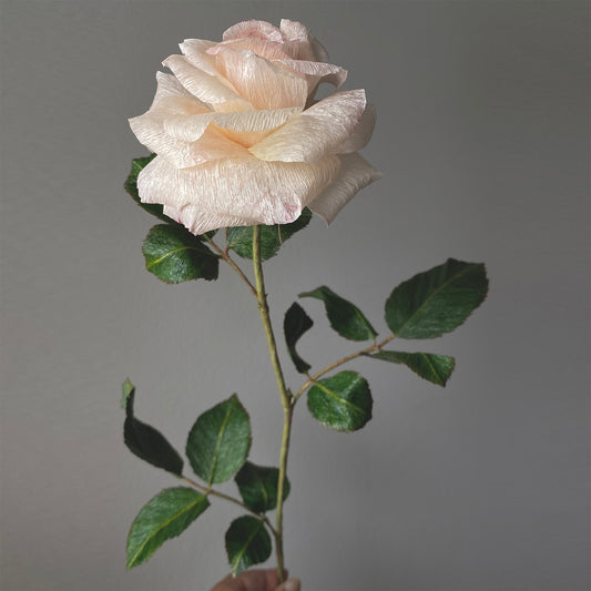 Sorbet Garden Rose Paper Flowers