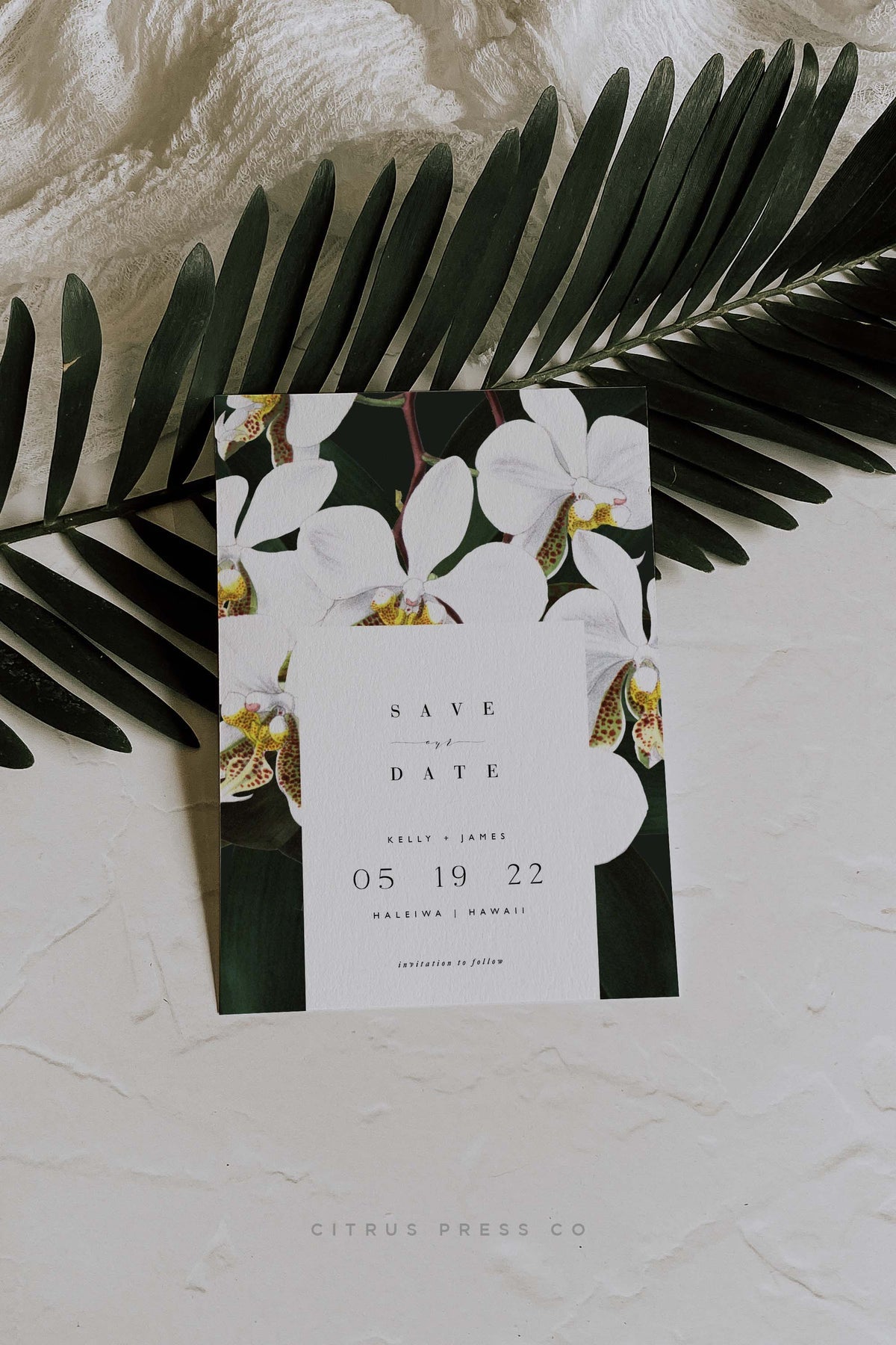 Orchid Save The Date