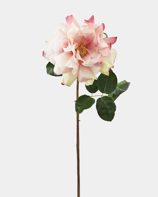 Large Pink Dutchess Rose 20"