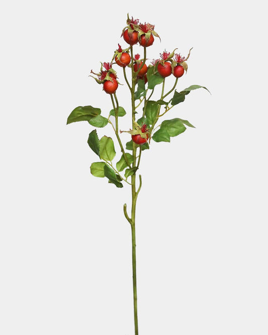 Orange Rose Hips 29"