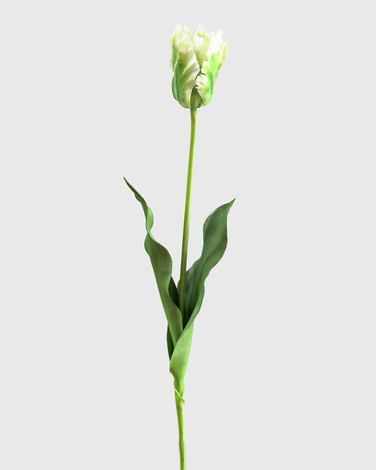 Real Touch Green Parrot Tulip 22.5"