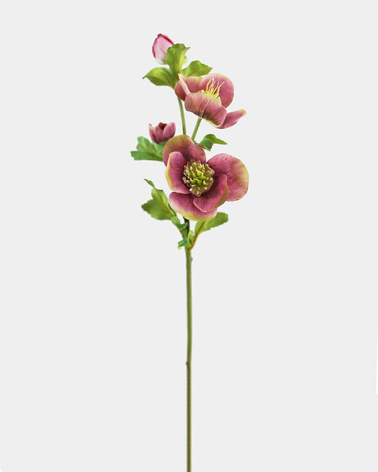 Real Touch Mauve Pink Hellebore 18"