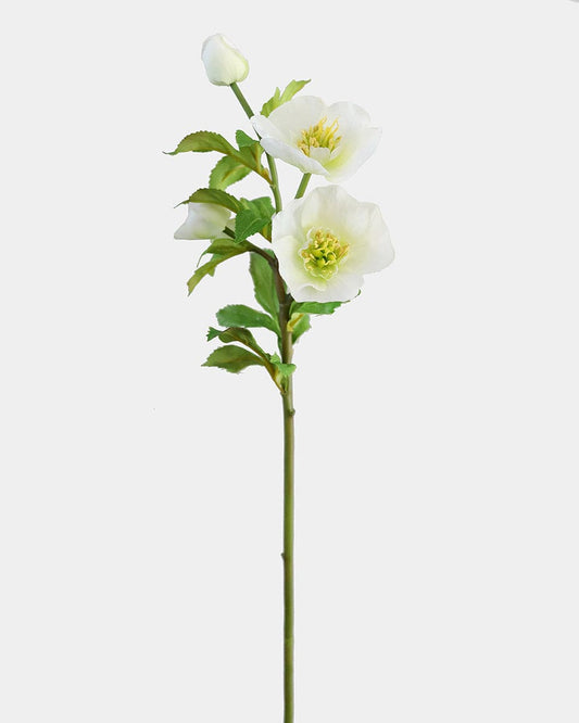 Real Touch White Hellebore 18"