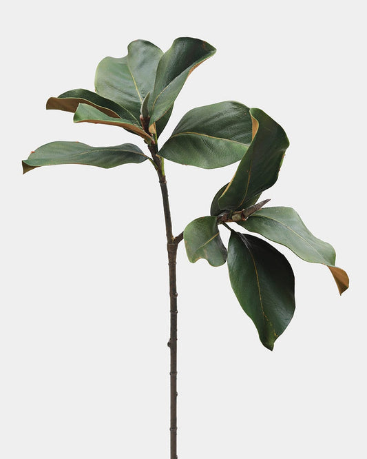 Fake Magnolia Leaf Stem 25"