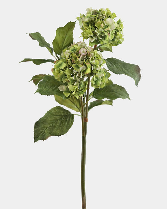 Green Double Hydrangea 36"