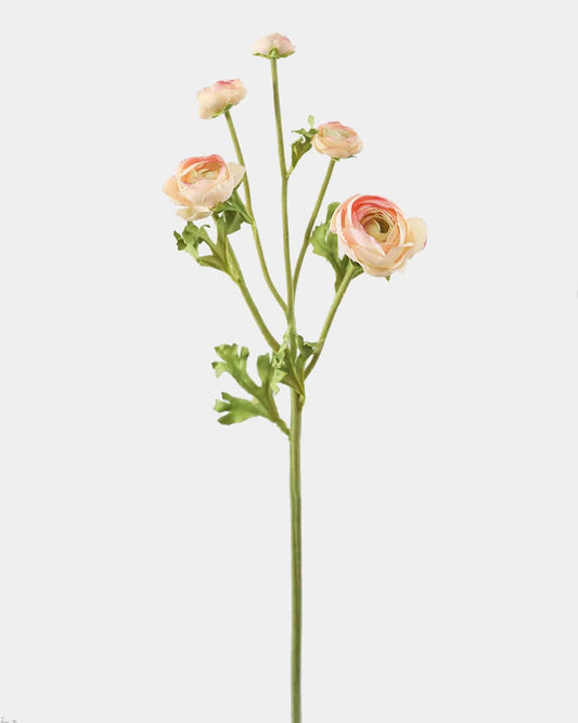 Real Touch Apricot Ranunculus 22"