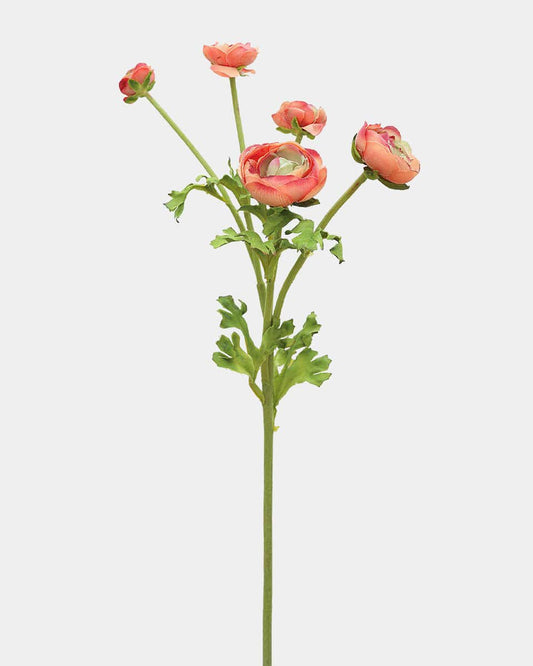 Real Touch Coral Ranunculus 22"