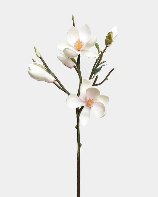 White Magnolia Tulip 20"