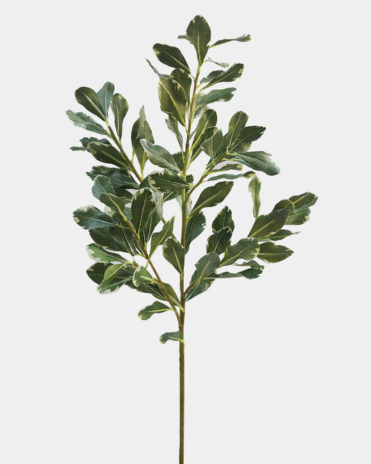 Artificial Pittosporum Leaves 30"