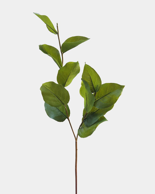 Artificial Salal Leaf Stem 23"