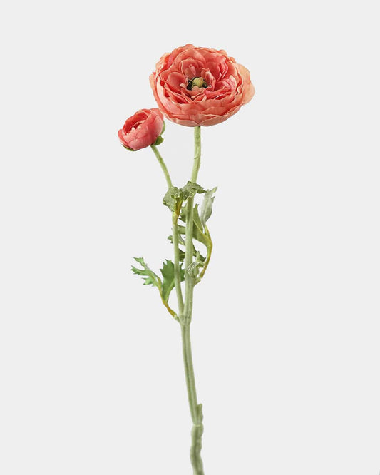 Salmon Pink Ranunculus 19.5"