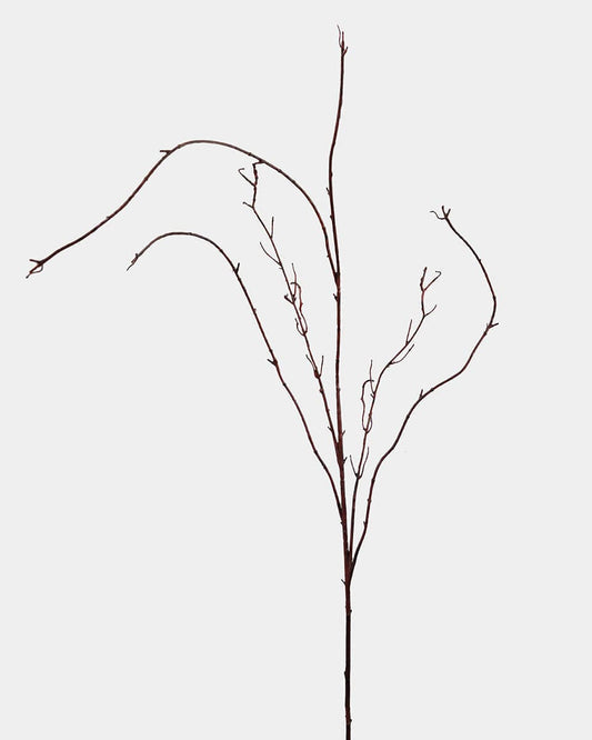 Twisted Willow Branch 44"